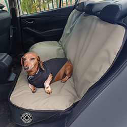 Seat protector covers with dachshund